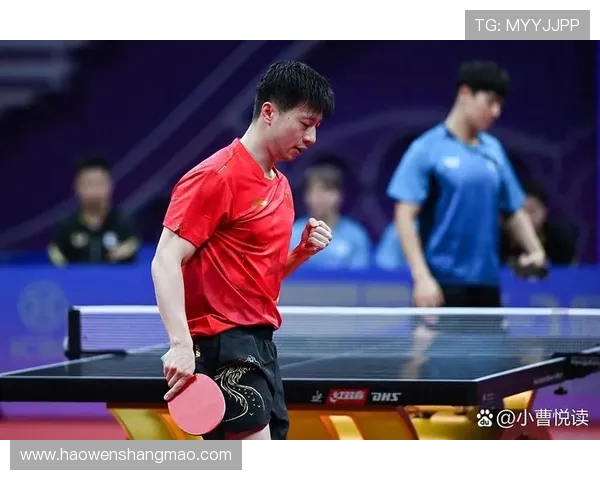 南京排球队的拼搏之路欧锦赛背后的奋斗与荣耀 南京排球队的拼搏之路欧锦赛背后的奋斗与荣耀