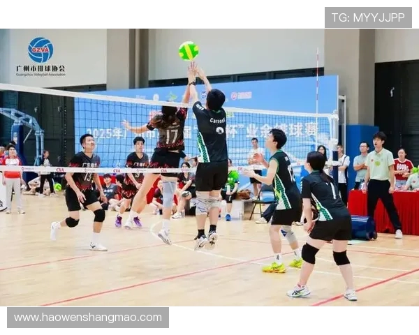 广州排球队的比赛经验分享与成长之路探讨