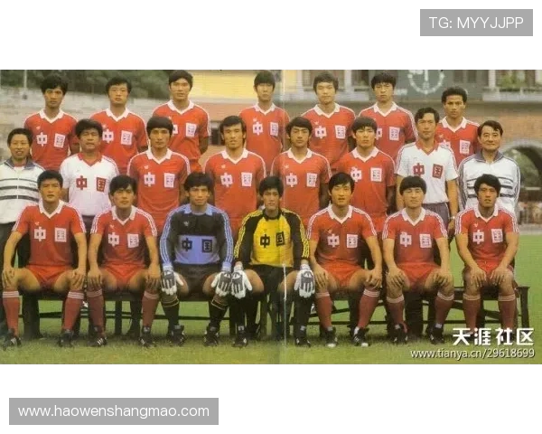 广州羽毛球队快攻革新之路：技术与战术的全面升级与突破