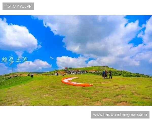 探索杭州极限运动队的运营模式与发展潜力深度解析