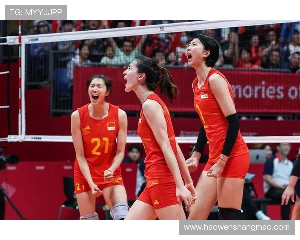 杭州排球队个人能力深度解析与发展探讨