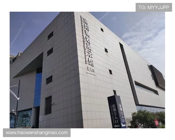 杭州羽毛球队边路渗透革新探索与实践的深度剖析与未来展望