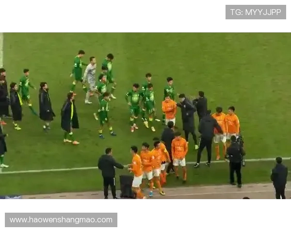 武汉飞盘队团队协作的独特优势与其他队伍的对比分析