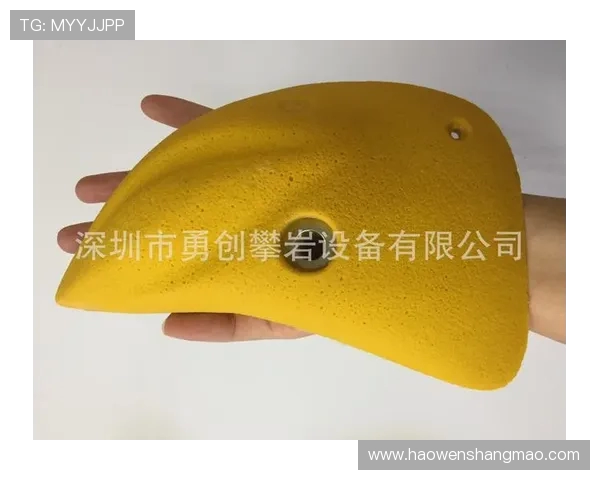 深圳攀岩队新策略解析：如何实现战术转型与提升竞技水平