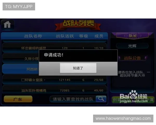 王者荣耀评论分析：JDG战队节奏把控的优劣与影响探讨