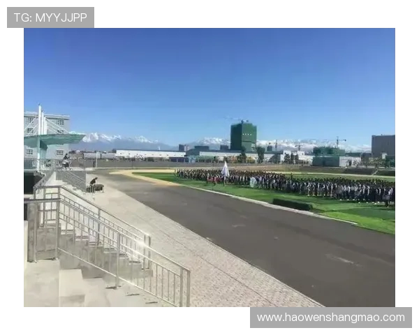 羽毛球场上的追梦旅程：黄娜的奋斗与坚持故事