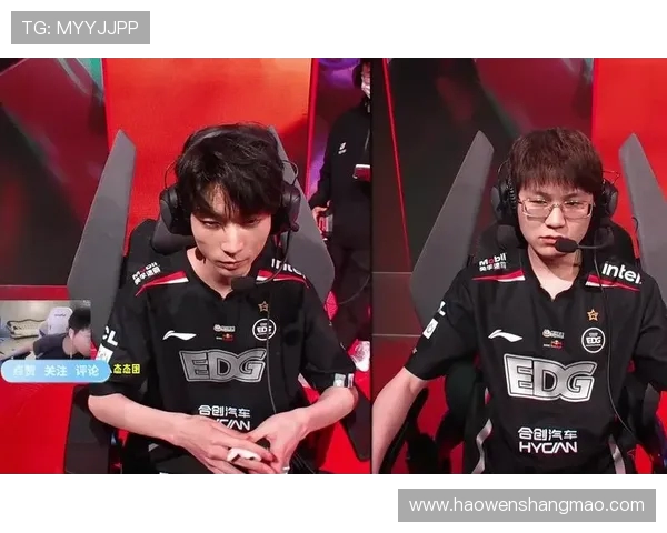 赛后分析EDG与IG对决中的战术灵活性与应变能力探讨