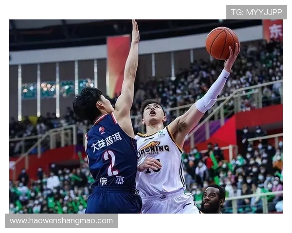 2018年辽宁对广东精彩比赛录像回放及赛后分析分享