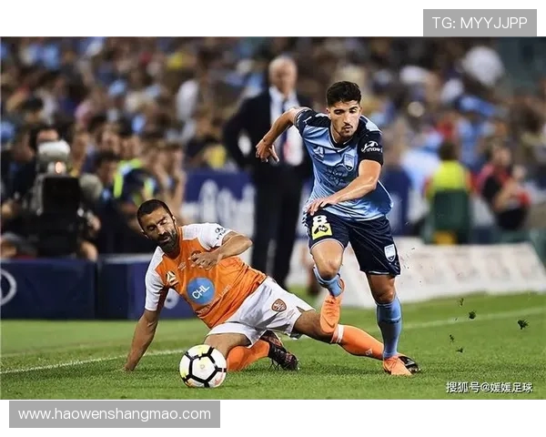 珀斯光辉与惠灵顿凤凰的激烈对决展现足球魅力与团队精神的巅峰之战