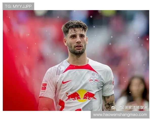 索博斯洛伊的魅力探秘与历史文化深度解析之旅