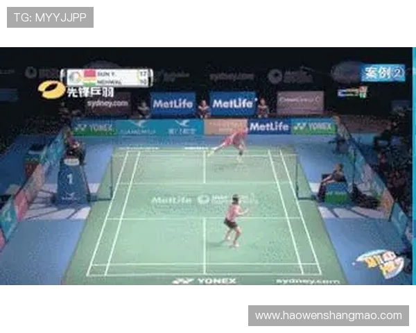 北京羽毛球队整体压制战术解析与实战应用探讨 北京羽毛球队整体压制战术解析与实战应用探讨