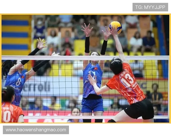 成都排球队在排球节奏排名中创下新高引发热议与关注