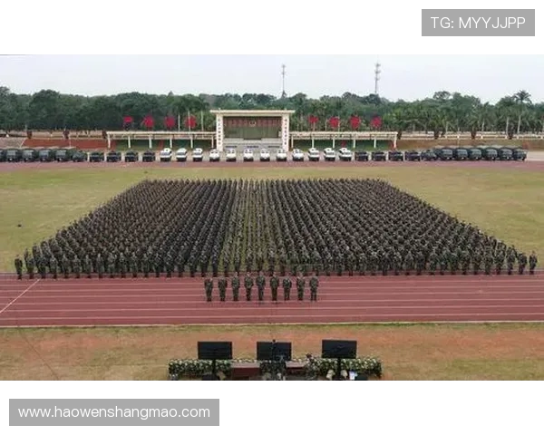 武汉极限运动队防反策略分析与战术得失评估探讨