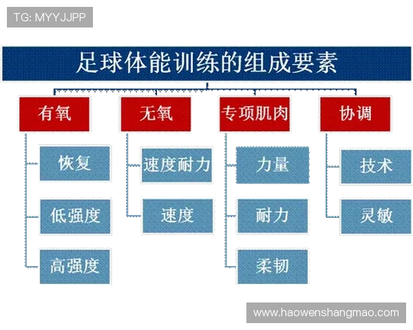 西安足球队耐力训练的挑战与突破探讨 西安足球队耐力训练的挑战与突破探讨