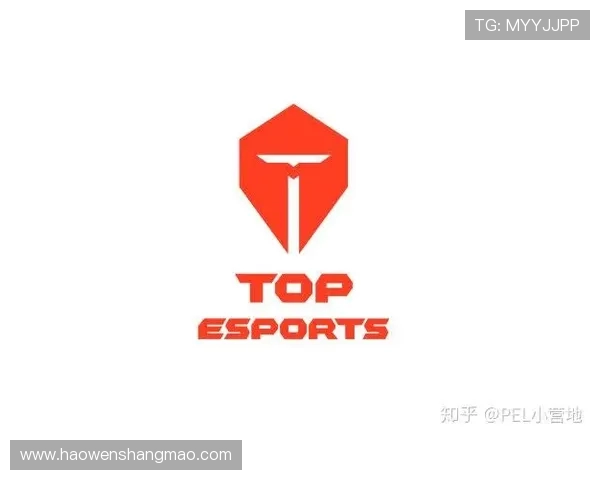 CSGO赛事分析：TES战队荣登第五名经验排行榜的背后故事